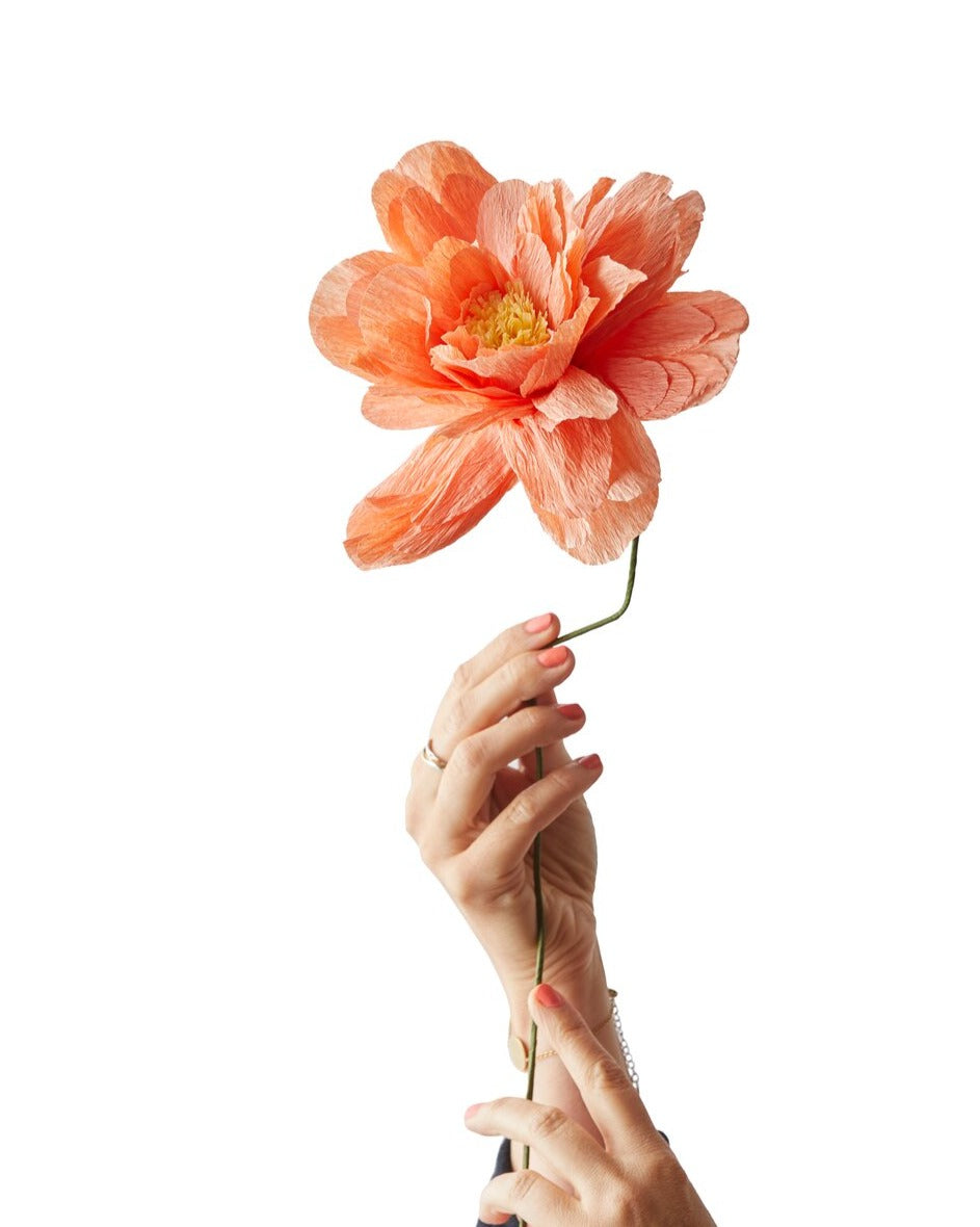 Grand Peony papirblomst - Peach